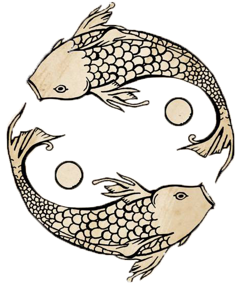 Yin Yang Logo